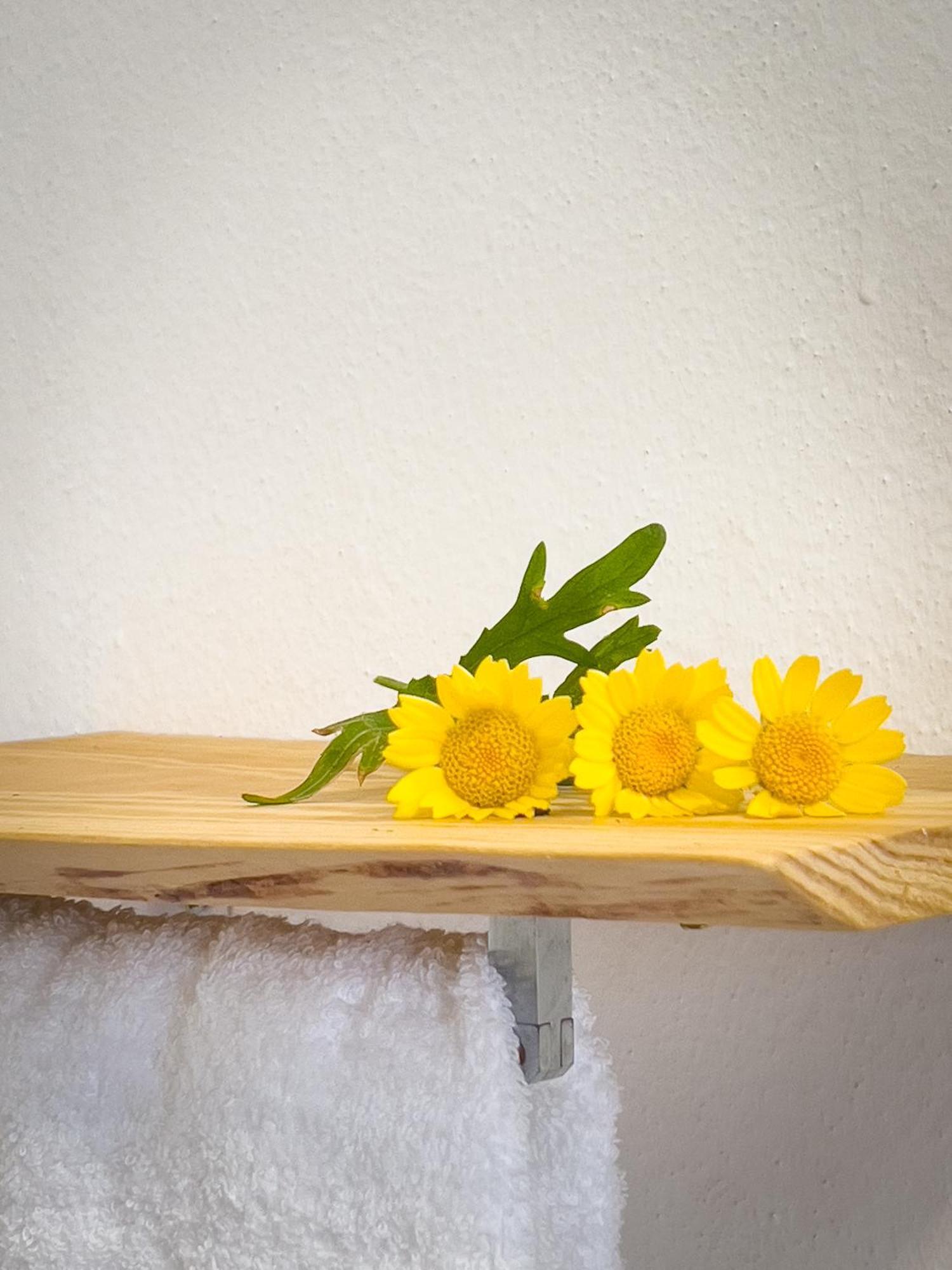 Prad'arte Apartment Santarem